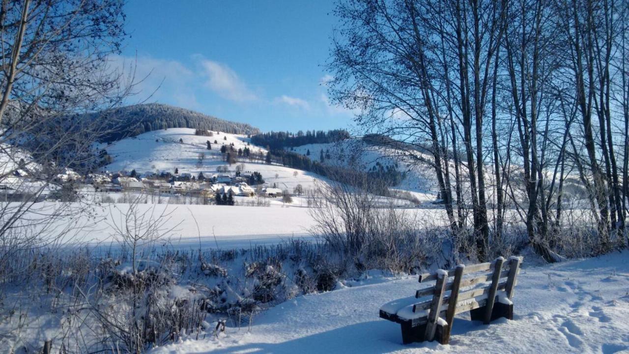 FeWo Schmitt Haus Enere Au Todtmoos Exterior foto