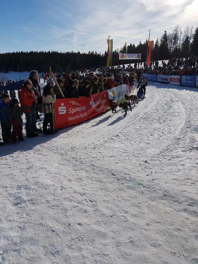FeWo Schmitt Haus Enere Au Todtmoos Exterior foto